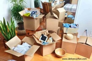 ویژگی های بارز کارتن اسباب کشی