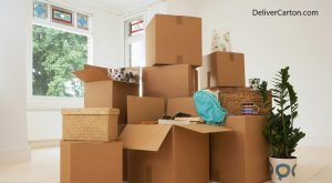 DeliverCarton-value04