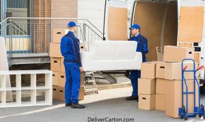 DeliverCarton-value05