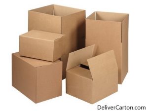 کارتن فروشی