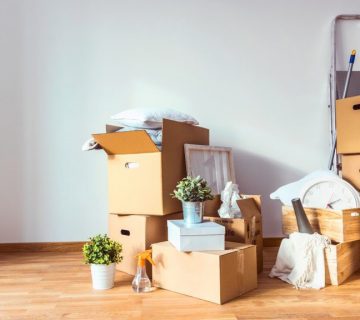 کارتن حمل بار