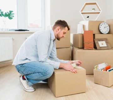 کارتن مقاوم